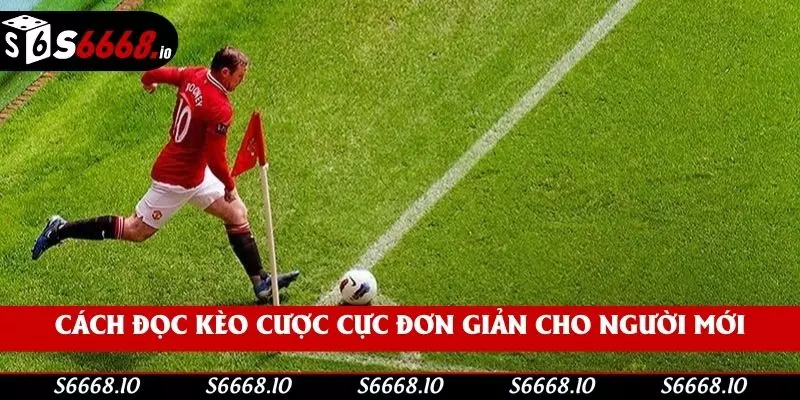 Cách đọc kèo cược cực đơn giản cho người mới