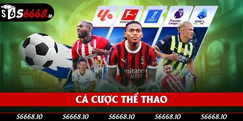 Thể thao là bộ môn được săn đón nhất năm 2025