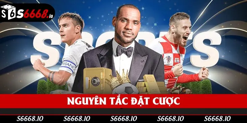 Một vài nguyên tắc đặc trưng hội viên cần chú ý ở Saba